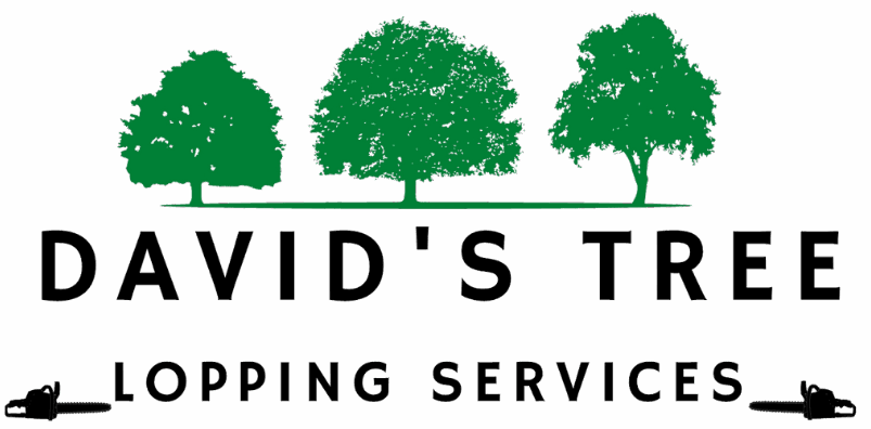 David's Tree Lopping